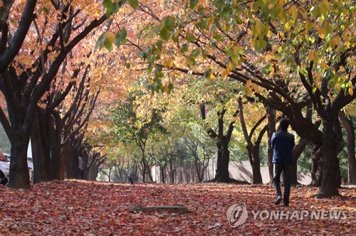 [날씨] 내일 입동 맞아 추위 '성큼'…일부 지역 아침 영하권