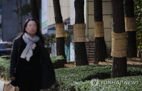 "외투 얼른 준비해야"…서울 첫 영하추위 작년보다 8일 빠를 듯