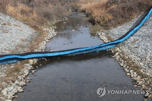 살처분 돼지 침출수 유출에 파주 금파취수장 취수 중단