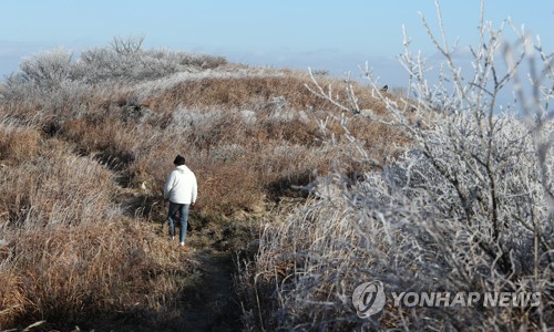 [내일날씨] 포근한 '소설'…일교차 10도 안팎으로 커