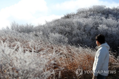 오늘 눈 없이 포근한 '소설'…일교차 커 아침엔 쌀쌀