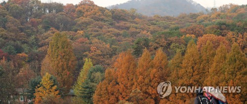 가을의 끝에서…전국 유명산·관광지마다 단풍놀이 인파