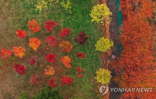 가을의 끝에서…전국 유명산·관광지마다 단풍놀이 인파