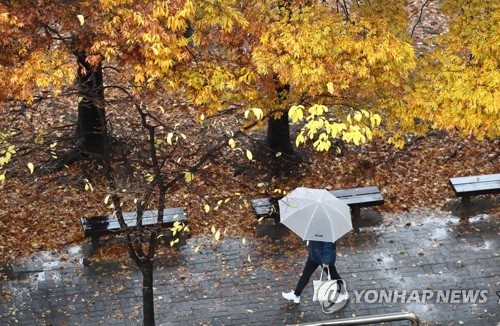 늦가을 비바람에 도심 한산…대학은 '논술 열기' 후끈