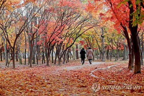 [내일날씨] 맑고 낮에는 포근한 주말…미세먼지 '보통'∼'좋음'