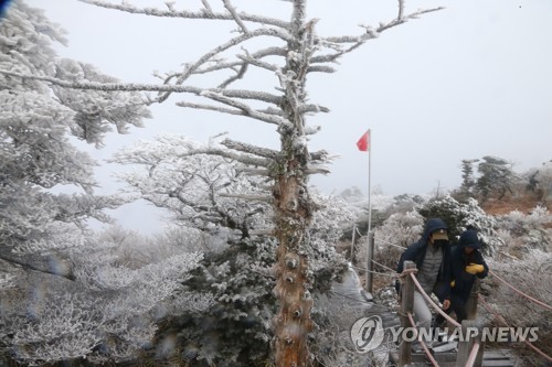 한라산 올가을 '첫눈'…상고대 어울려 눈부신 겨울풍경