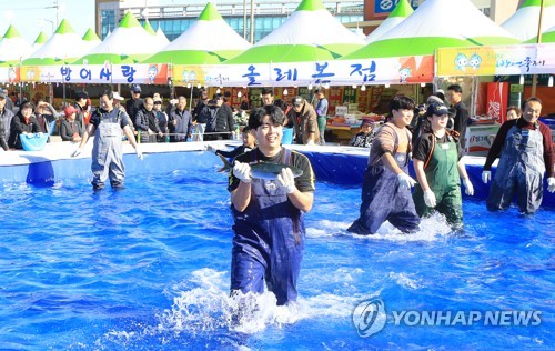 최남단 방어축제 개막…"살 오른 방어 맛보세요"