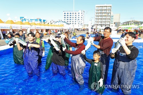 최남단 방어축제 개막…"살 오른 방어 맛보세요"