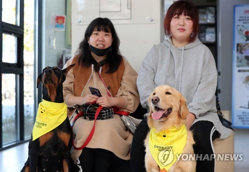 "아픈 견공 친구 위해 헌혈합니다" 호남 첫 반려견 헌혈 캠페인