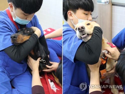 "아픈 견공 친구 위해 헌혈합니다" 호남 첫 반려견 헌혈 캠페인