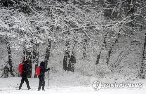 강원 산지·태백 대설특보 해제…미시령에 14㎝ 폭설