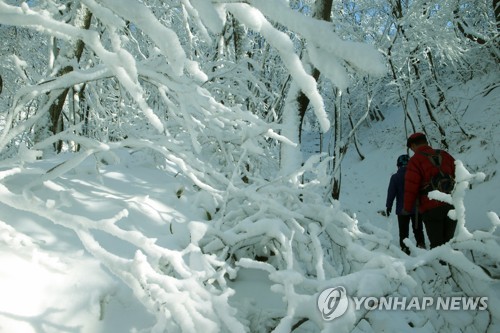 "엘사가 다녀갔어요" 겨울왕국으로 변한 설악산