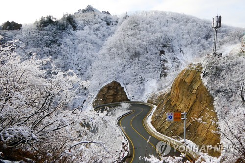 강원 밤부터 눈 산간 최고 30㎝…산지에 대설 예비 특보