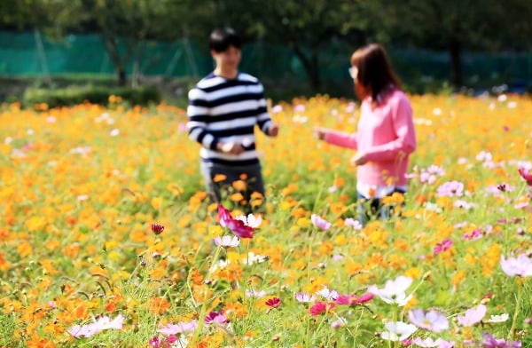 해당 사진은 이번 사연과 직접적인 관련이 없음. 사진=연합뉴스