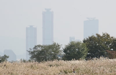 [오늘의 날씨] 전국 맑지만 아침 안개주의…곳곳 미세먼지 '나쁨'