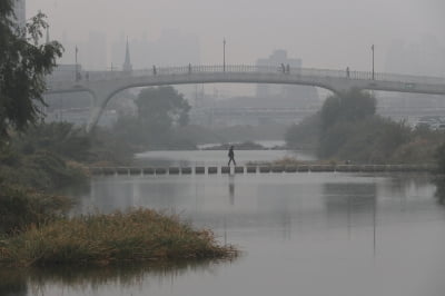 짙은 안개…인천·김포공항 인근 저시정 경보, 항공기 운항 정보 확인해야