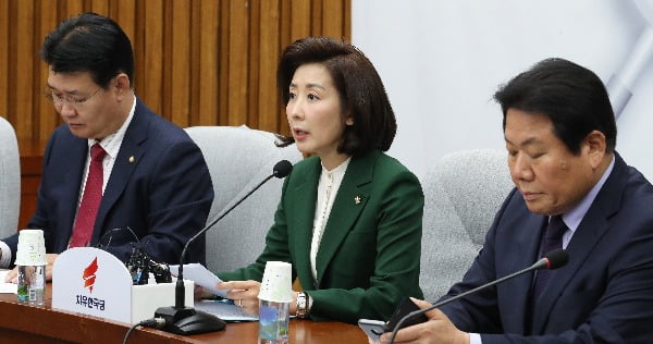 나경원 원내대표(가운데)가 12일 오전 국회에서 열린 원내대책회의에서 발언하고 있다. 사진=연합뉴스