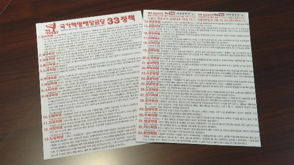 경영 씨가 27일 서울 여의도 국가혁명배당금당 사무실에서 '국가혁명배당금당' 창당 성명발표를 했다. 사진은 이날 공개된 국가혁명배당금당 33정책/사진제공=연합뉴스