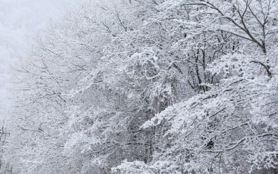 [날씨] 강원 산간은 '겨울왕국'…서울은 어제보다 추운 출근길