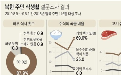 서울대 통일평화硏 "2015년 이후 북한에 결식자 거의 없어"