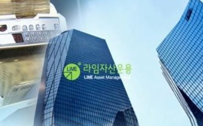 '라임·DLF 사태' 사모펀드 성장세 제동…석달새 300개 감소