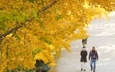 맑다가 오후부터 차차 구름…중부 오전 한때 미세먼지↑