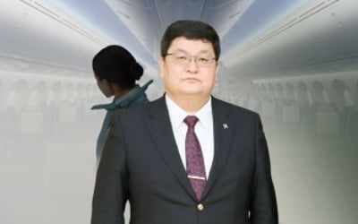 '승무원 성추행' 몽골 헌재소장 한국 재입국…2차 조사