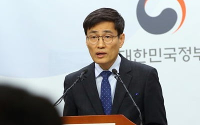 국토부 "풍선효과 우려되면 신속히 상한제 대상 추가지정"