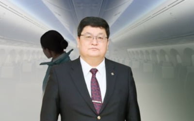 '승무원 성추행' 몽골 헌재소장 동행인도 체포영장 발부