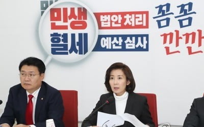 나경원 "순삭감 목표액 14조5000억…본격 예산심사 투쟁 돌입"