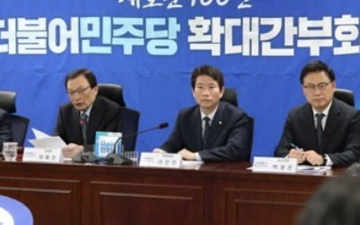 與 "나경원은 뻔뻔·황교안은 해외토픽감"…한국당 투톱 때리기