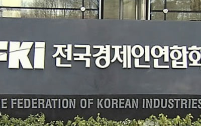 전경련 "외국기업은 투자 혜택 받는데…국내기업 역차별 말아야"