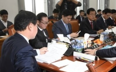 예산소위 엿새째 심사…여야, 남북체육교류·DMZ 개발 예산 공방