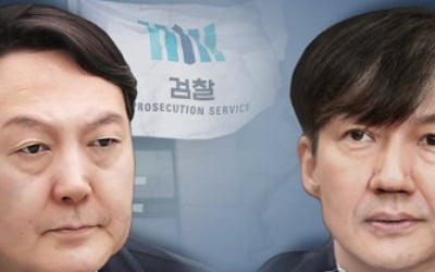 '윤석열 배제한 특별수사팀 제안' 고발사건 수사착수