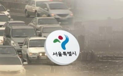 서울시, 고농도 미세먼지 사전에 잡는다…12∼3월 시즌제 시행