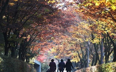 전국 맑다가 가끔 구름 많음…낮 포근하지만 일교차 10도 이상