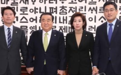 여야, 29일 본회의 열어 법안처리…"3당 원내회동 매일 개최"