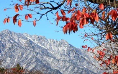 전국 오후부터 흐리고 일교차 커…"건강관리 유의하세요"