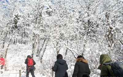 포근한 11월 마지막 날…유명산·바닷가 등서 초겨울 정취 만끽