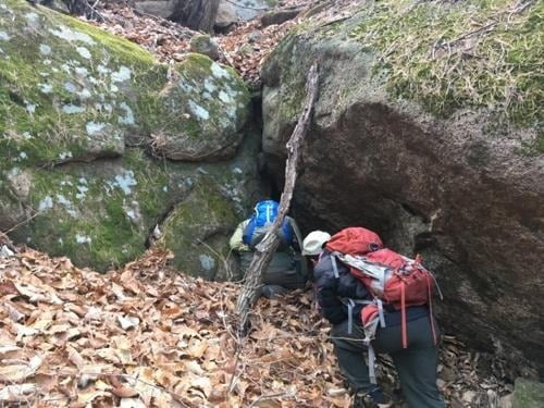 실종 신고 청주 주택조합 임원, 속리산서 숨진 채 발견