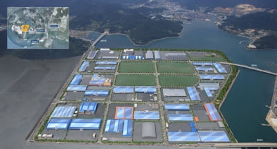 남부발전 "부산신항에 100MW 세계 최대 규모 태양광 발전시설"