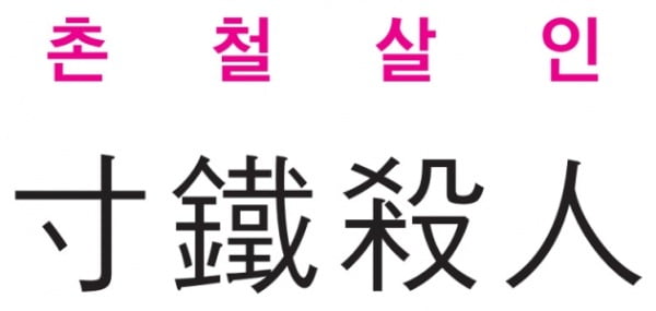 [신동열의 고사성어 읽기] 촌철살인 (寸鐵殺人)