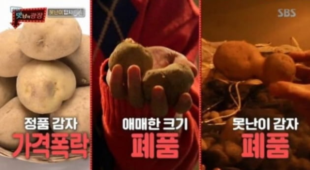 정용진 신세계 부회장, '맛남의 광장' 깜짝 등장/사진=SBS '맛남의 광장' 영상 캡처