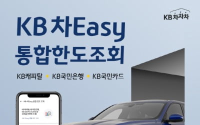 KB금융, 'KB 차Easy 통합한도조회' 서비스 오픈
