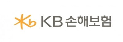 KB손해보험, 신성장 동력 확보 위한 디지털 조직체계 기능 강화