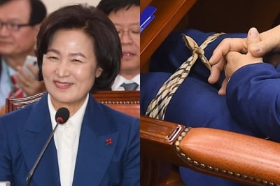 박지원 "천하의 추다르크도 청문회선 떠네요"…다리까지 묶은 추미애