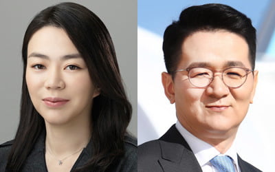 "조현아, 상속세 내야하는데 혼자만 직책 없어 폭발"