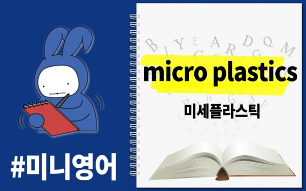 [오디오래빗] '카드' 만큼 먹는 #미세플라스틱 영어로 뭐게?