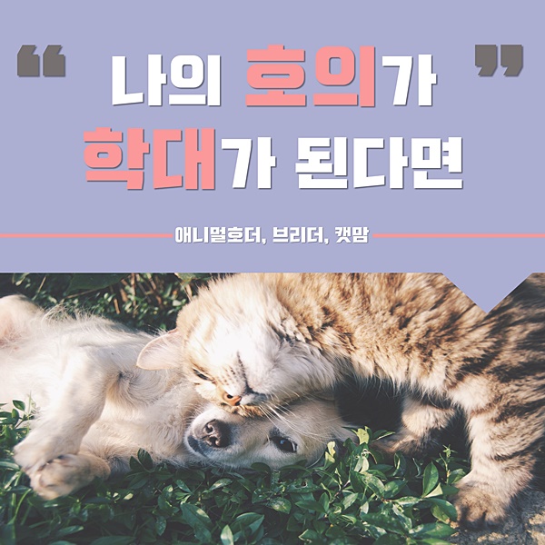 [빗나간 애착, ‘애니멀 호딩’①] 애니멀 호더·브리더·캣맘…동물을 진정으로 위하는 마음일까?