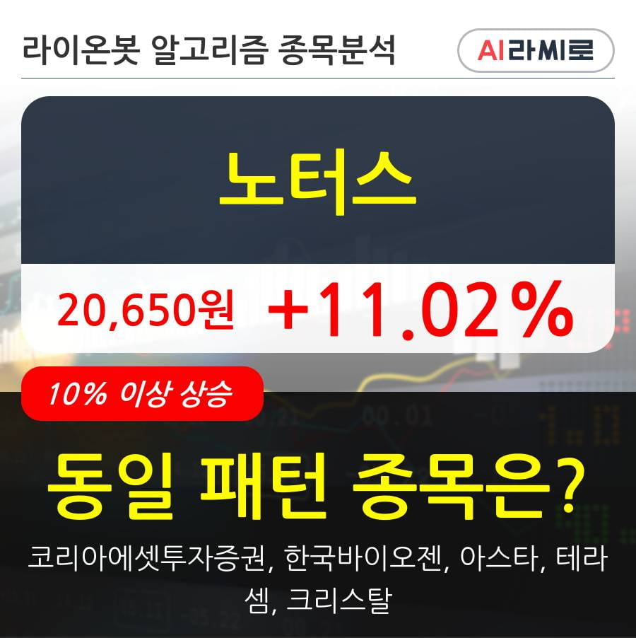 노터스